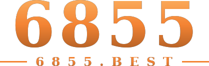 6855 logo